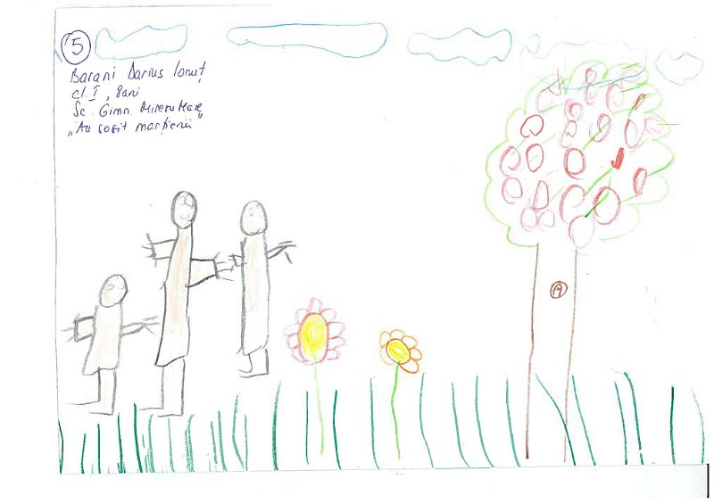 5_Darius Ionut BARANI_Sc Miresu Mare.jpg